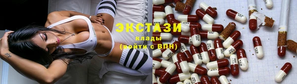 шишки Карпинск