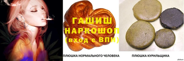 шишки Карпинск