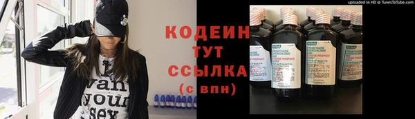 шишки Карпинск