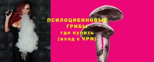 шишки Карпинск