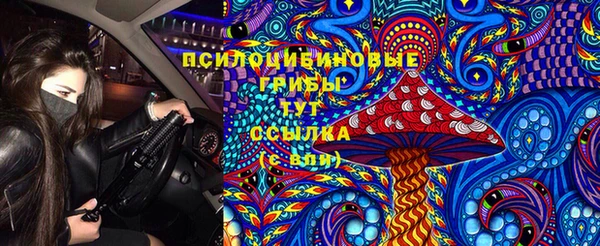 a pvp Карталы