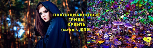 шишки Карпинск
