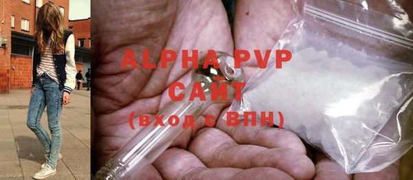 шишки Карпинск