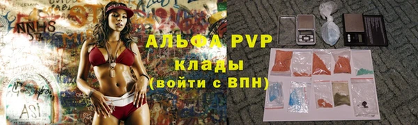 шишки Карпинск
