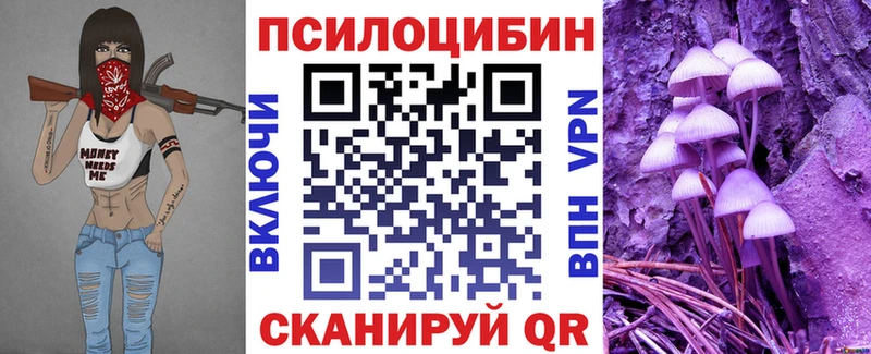 Галлюциногенные грибы Psilocybine cubensis  Купить где  Боровск 