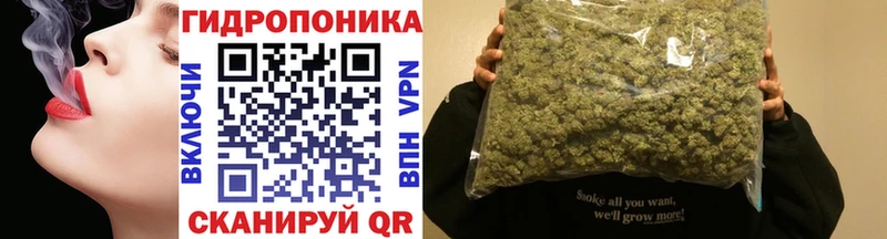 Бошки марихуана Amnesia  Купить закладки  Боровск 